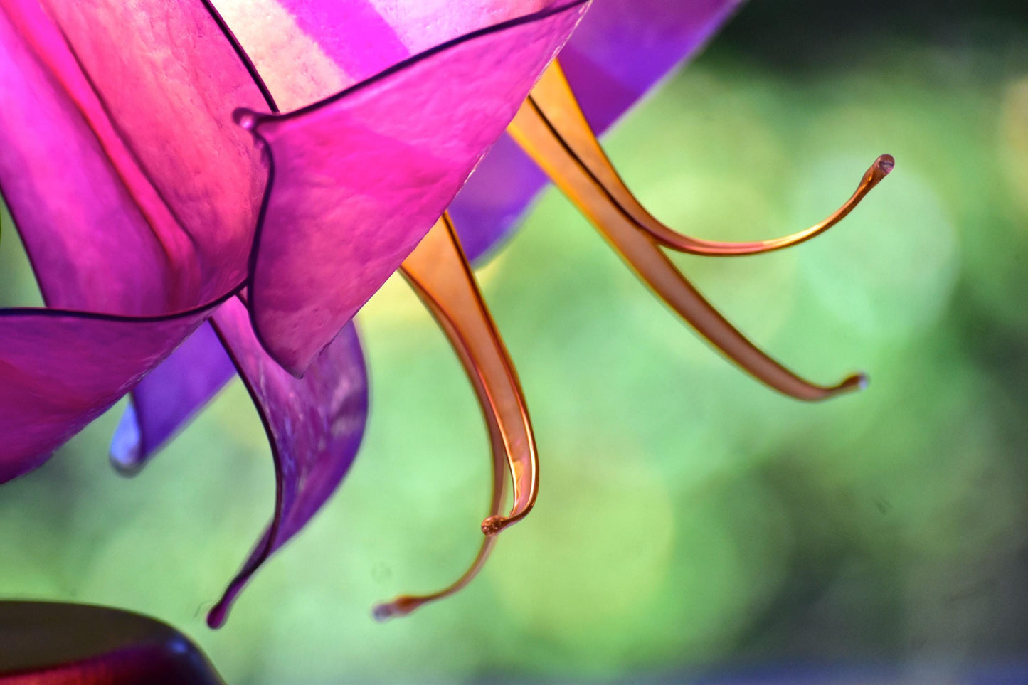 lampada da tavolo a forma di fiore rosa in resina fatta e dipinta a mano