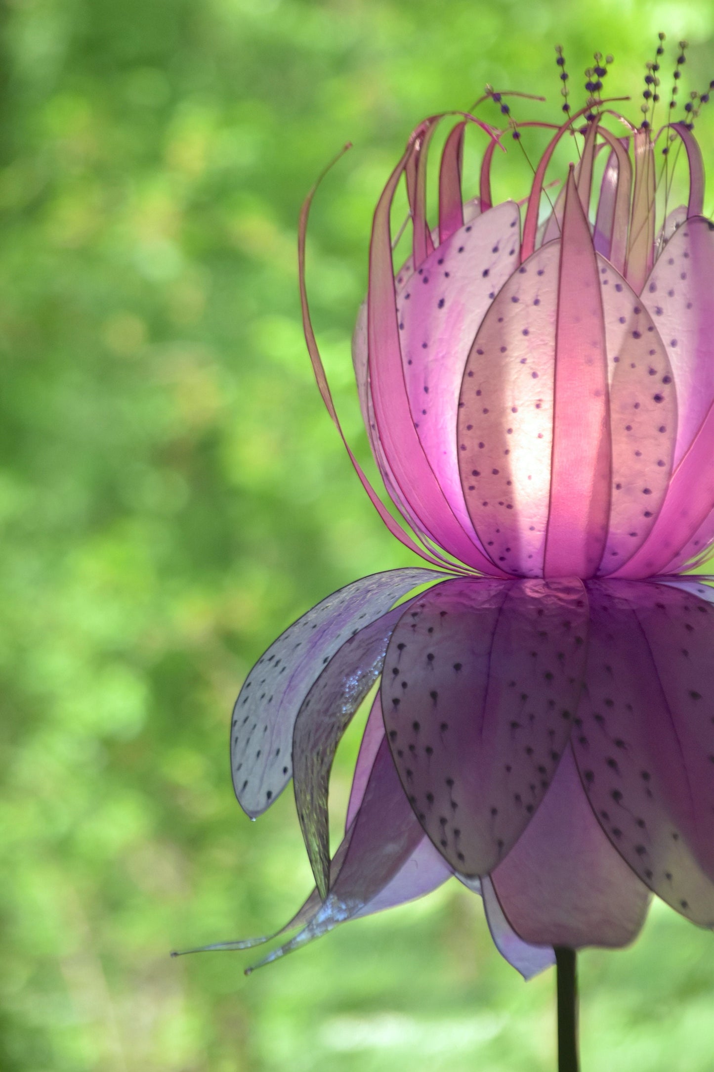 Lampada da terra in resina fiore gigante rosa lilla fatto e dipinto a mano