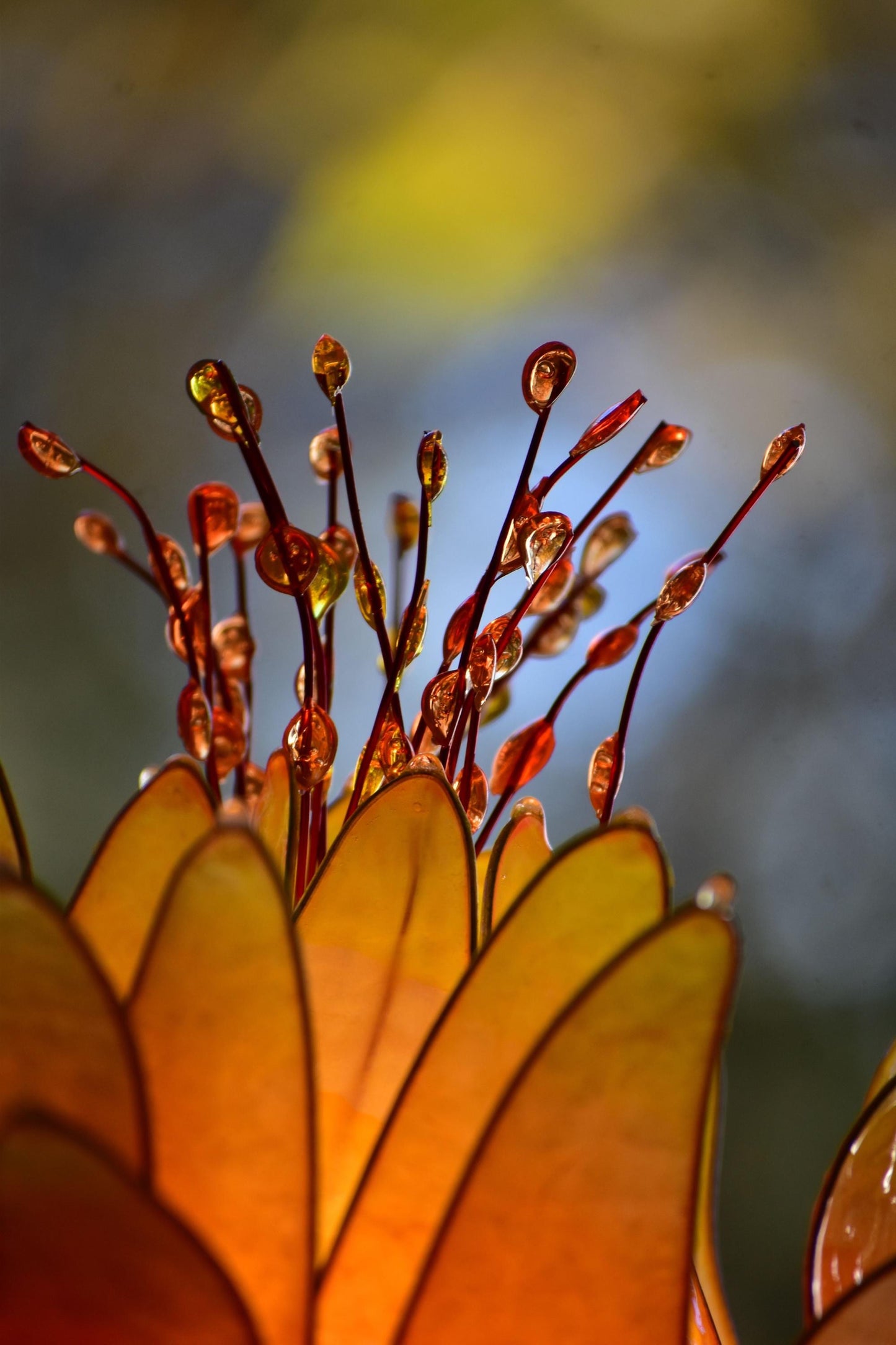 Lampada da tavolo fiore di loto arancione e rosa in resina