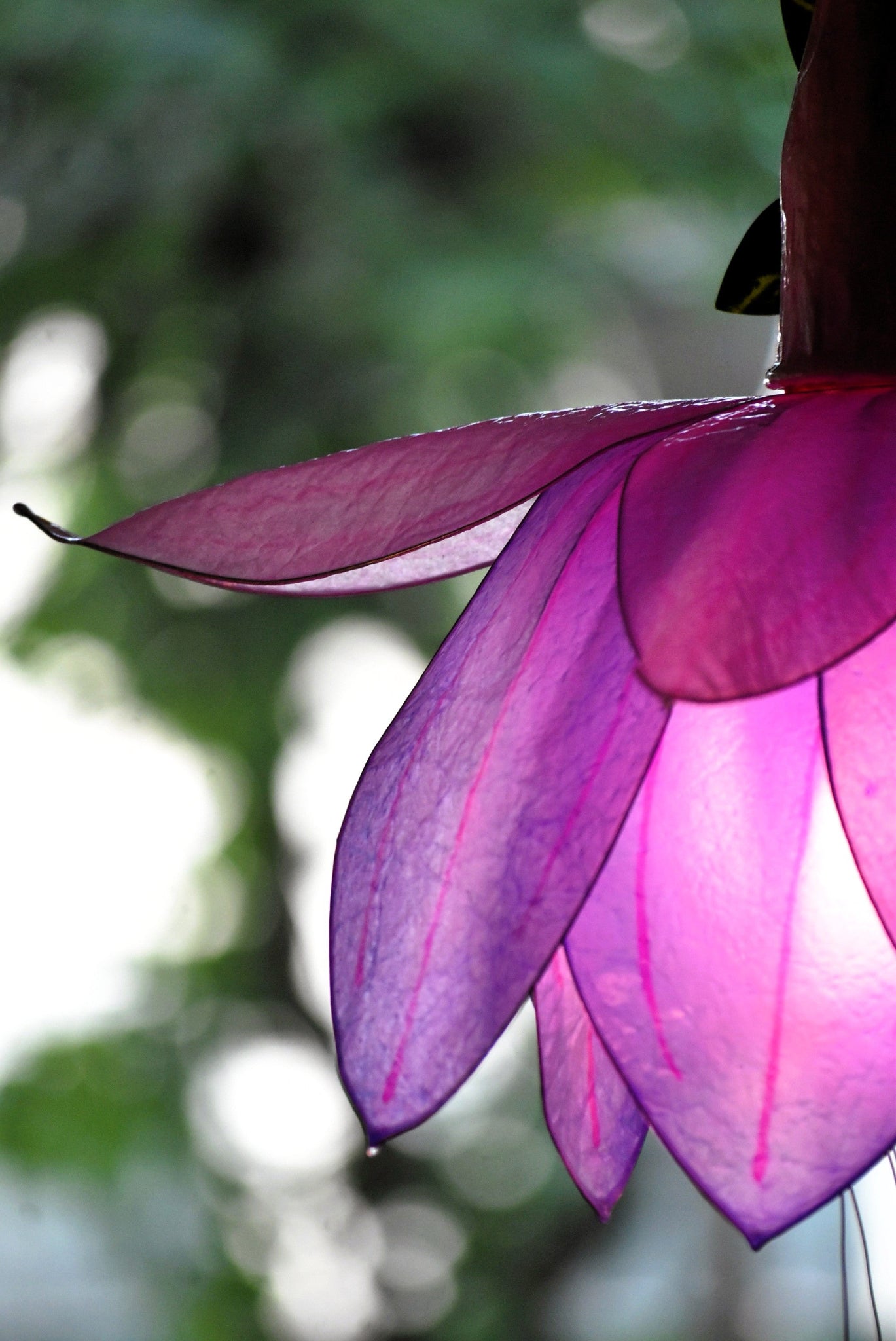 Lampada sospensione fiore di fucsia fatto e dipinto a mano, pezzo unico - Fiorediluce