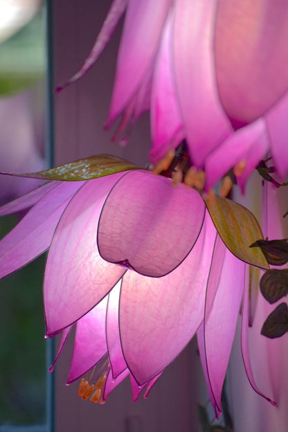 lampada da muro 3 luci rampicanti di boccioli rosa per arredamento floreale fiabesco - Fiorediluce