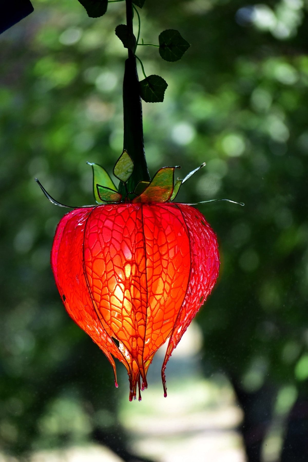 Lampada Alchechengi in Resina, Lanterna Cinese Artigianale, Lampada da Parete Rossa, Illuminazione Artistica - Fiorediluce