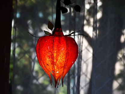 Lampada Alchechengi in Resina, Lanterna Cinese Artigianale, Lampada da Parete Rossa, Illuminazione Artistica - Fiorediluce
