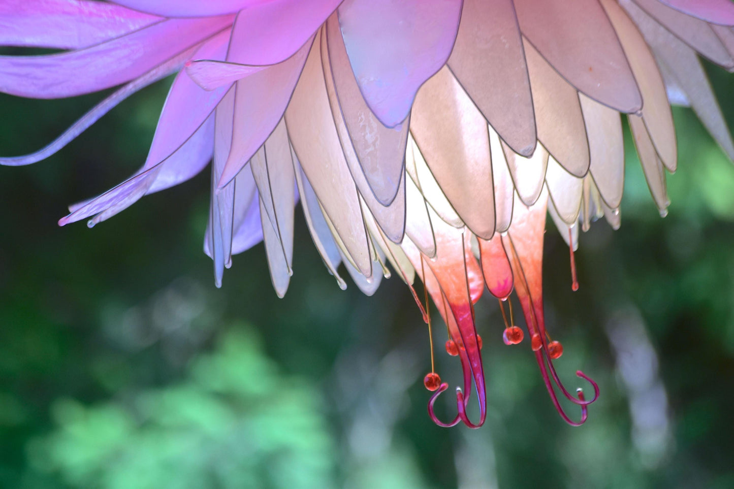 Lampada a sospensione a forma di fiore rosa tenue e bianco in resina - Fiorediluce