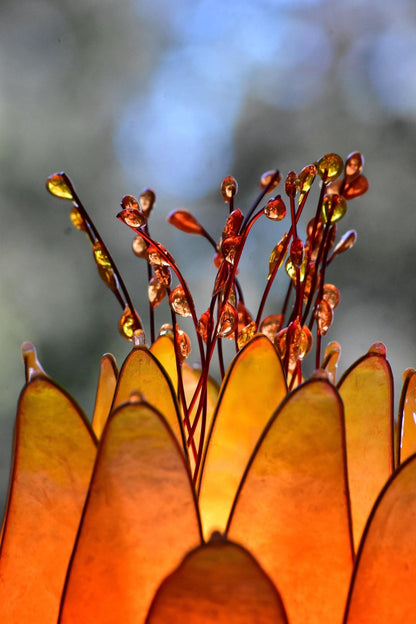 Lampada da tavolo fiore di loto arancione e rosa in resina - Fiorediluce