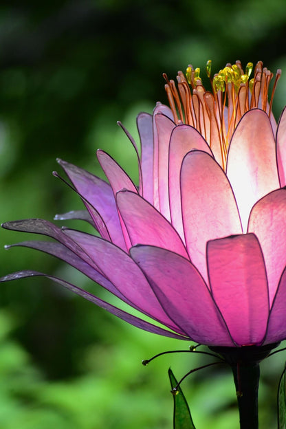 lampada da tavolo rosa decorativa fatta e dipinta a mano in resina - Fiorediluce